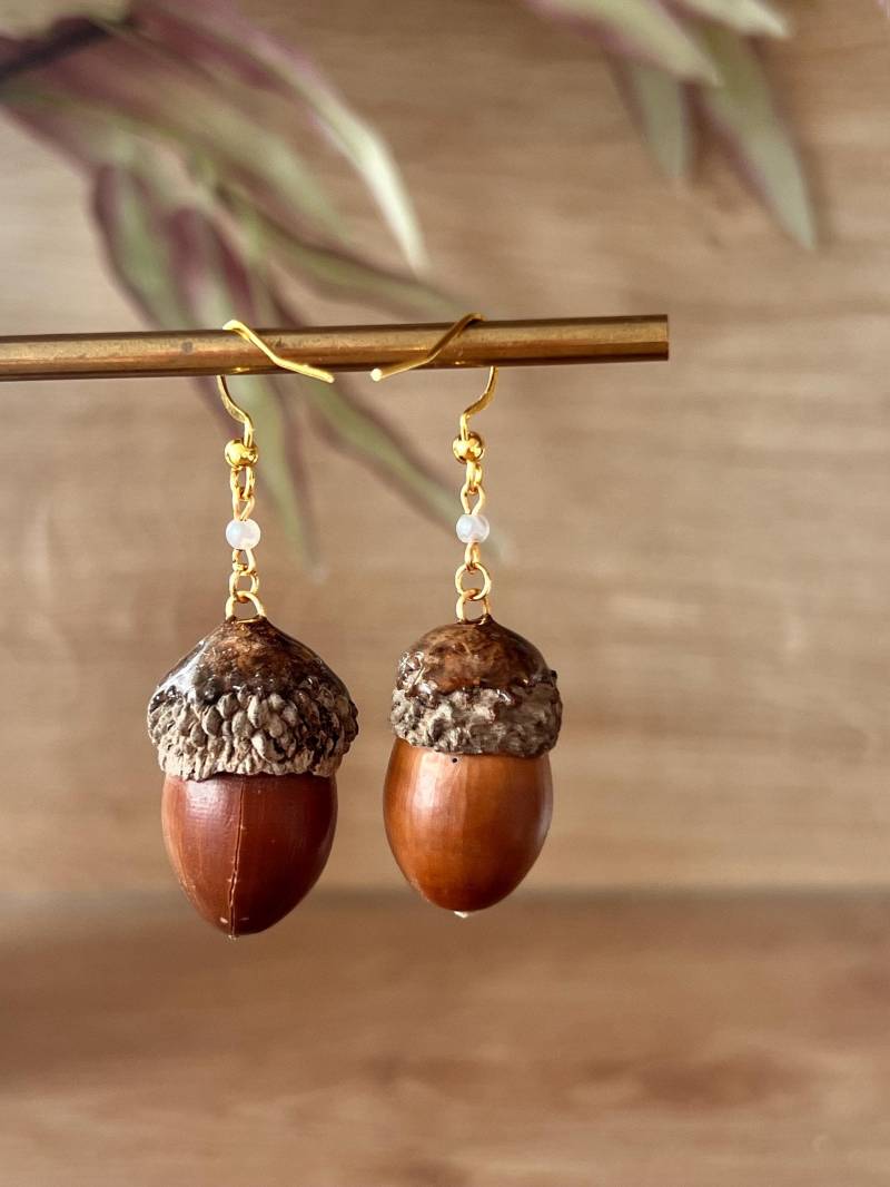 Real Acorn Earrings - Nature Inspired Jewelry | Autumn Fall Unique Botanical Real Acorn Earrings - Nature Inspired Jewelry | Autumn Fall Unique Botanical von FlorifyCreations