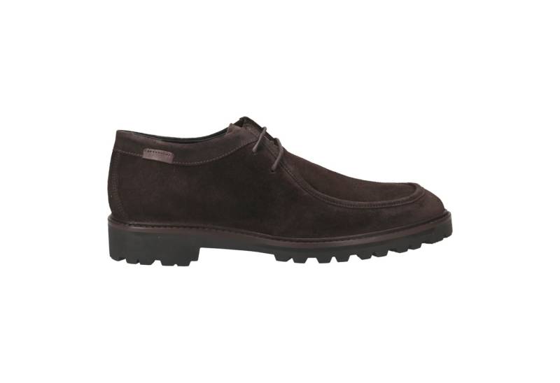 Floris van Bommel Floris van Bommel STURDI, Schnürschuhe, Braun, Herren Schnürschuh von Floris van Bommel