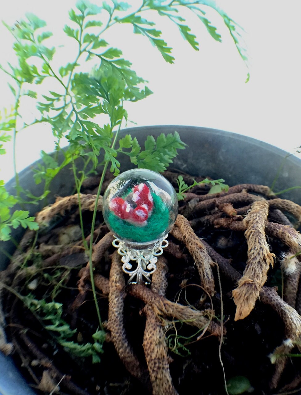 Nadel Filz Rot Gefleckte Pilz Cluster Verstellbare Glas Kuppel Ring Globe Terrarium Winzigen Schnecke Gnome Fairy World Natur Ooak Woodland Nadel Filz Rot Gefleckte Pilz Cluster Verstellbare Glas Kuppel Ring Globe Terrarium Winzigen Schnecke Gnome Fairy World Natur Ooak Woodland von FlotsamAndThenSome