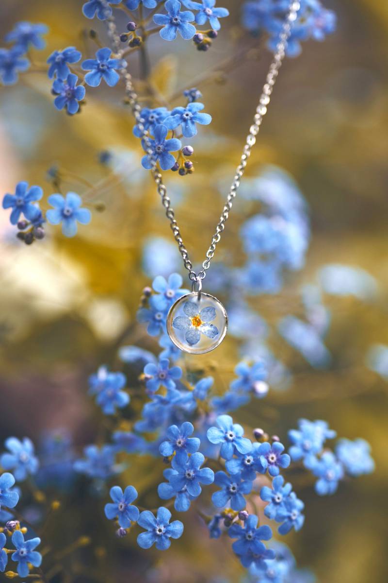 Vergissmeinnicht Halskette - Handgefertigter Schmuck, Gepresste Blumen Charm Anhänger, Zierliche Blaue Echte Blumen, Freundschaftsgeschenk Für Sie Vergissmeinnicht Halskette - Handgefertigter Schmuck, Gepresste Blumen Charm Anhänger, Zierliche Blaue Echte Blumen, Freundschaftsgeschenk Für Sie von FlowersJewelery
