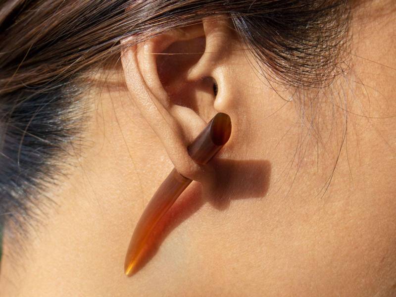 Fake Piercings - Gebogener Taper Aus Braunem Horn Ohrringe Mit Schraubverschluss von FlyStyleShop