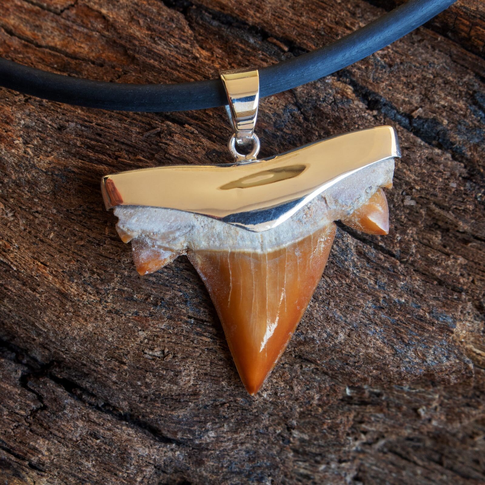 Haizahn Fossil 925Er Silber Ketten Anhänger Haifischzahn Surfer Herren Damen von FlyStyleShop