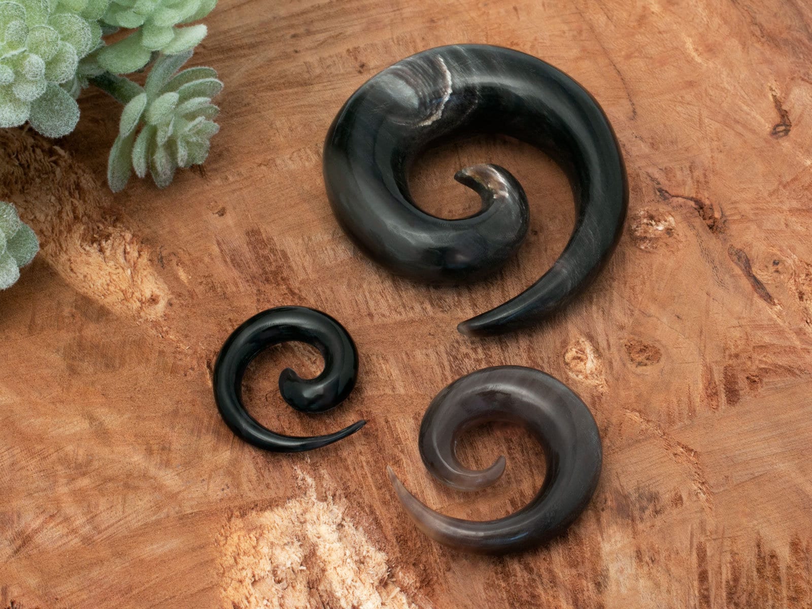 Horn Spirale Schwarz, Dehnschnecke Ohr Expander, Plug Tunnel, Dehnsichel Ohrlöcher, Ear Stretcher von FlyStyleShop