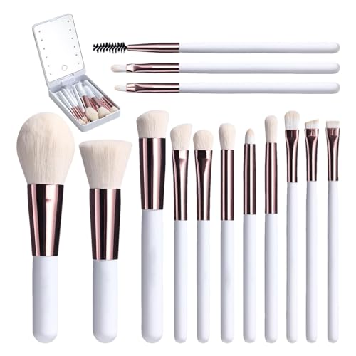 Make-up-Pinsel – 14-teiliges Make-up-Reiseset, Reise-Make-up-Pinsel-Set | Kleine Tragbare Make-up-Pinsel-Sets Für Frauen, Make-up-Pinsel-Set Mit LED-Spiegel Und Aufbewahrungsbox Für Erwachsene, Mehrer von Fmzrbnih