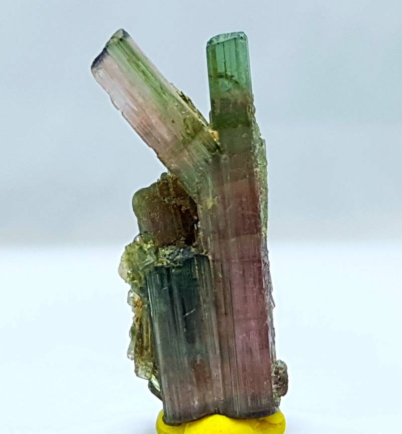 12.55 Karat Atemberaubend Bi-Color Turmalin Kristall Probe Aus Afghanistan von Focusgems