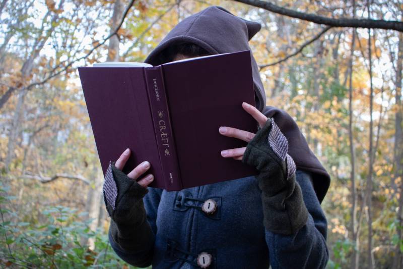 Elfen Handgelenkwärmer, Fingerlose Handschuhe, Fee Pixie Armstulpe, Damen Paar - Wählen Sie Ihre Farbe /F/ | Pfund von FolkOfTheWood