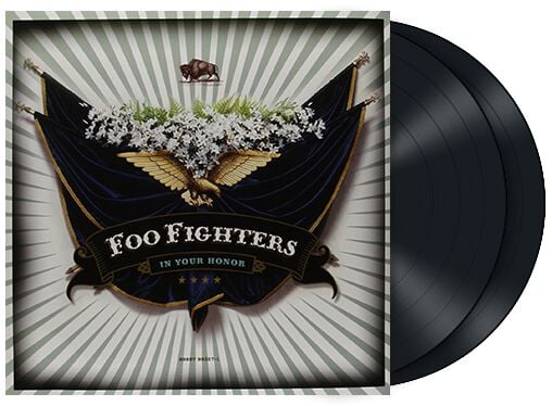 Foo Fighters In your honor LP multicolor von Foo Fighters