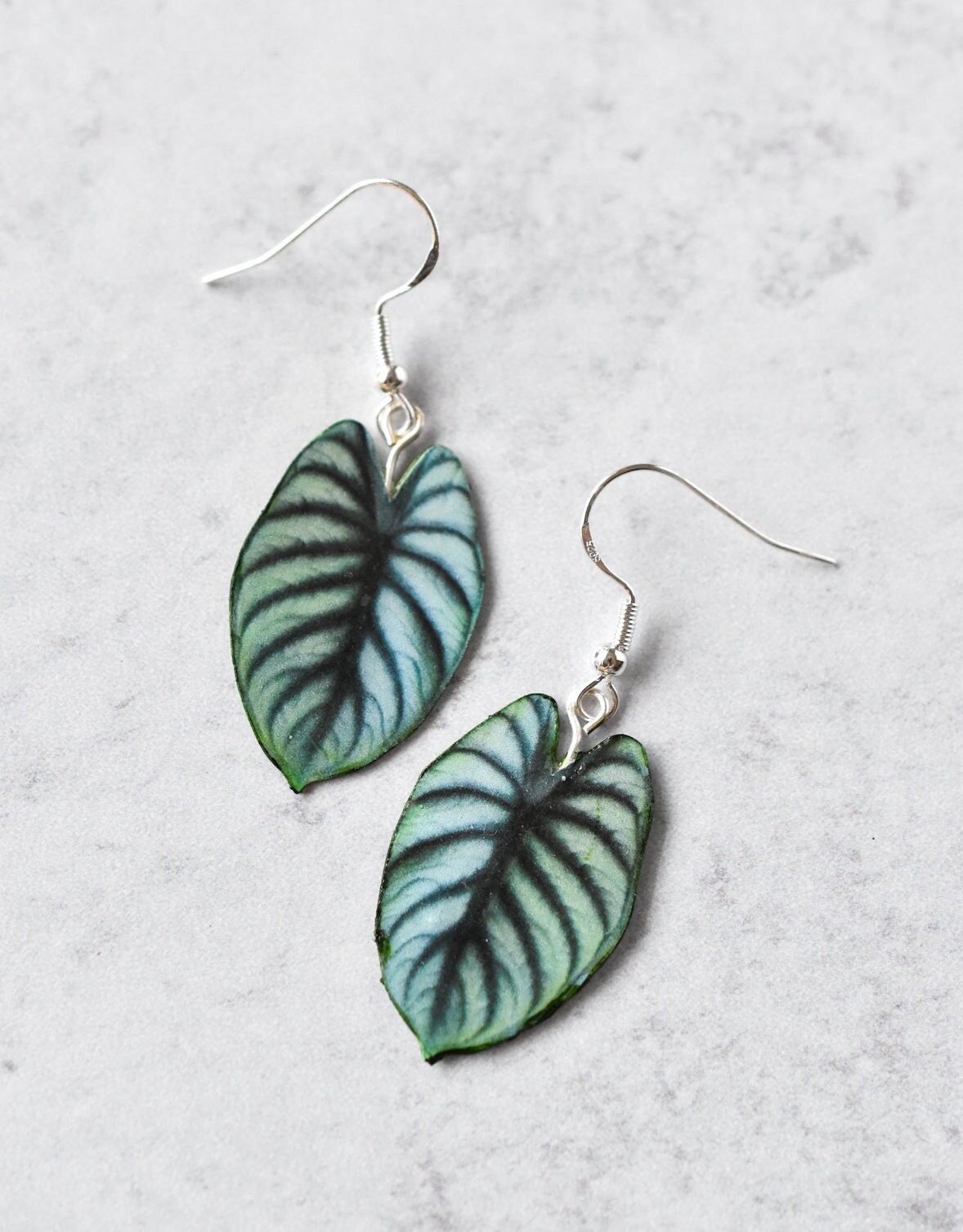 Alocasia Silber Drache || Handgemachte Blatt Ohrringe Pflanzenohrringe Sterling Alocasia Silber Drache || Handgemachte Blatt Ohrringe Pflanzenohrringe Sterling von ForTheLoveOfFoliage