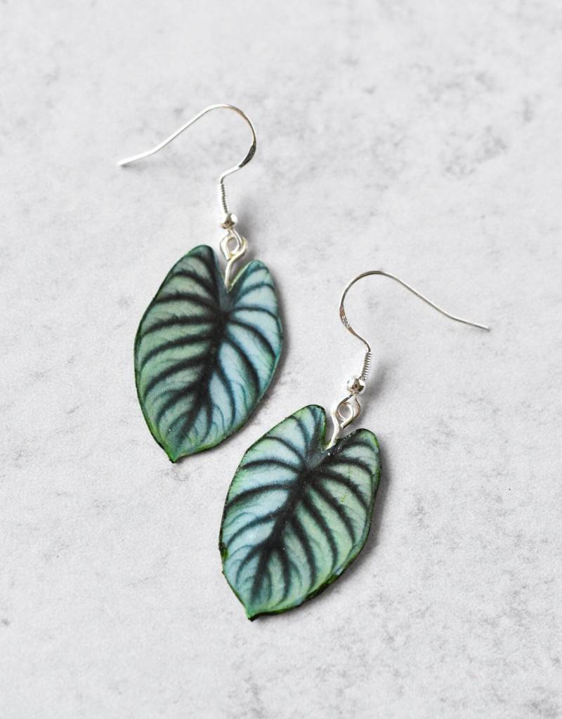 Alocasia Silber Drache || Handgemachte Blatt Ohrringe Pflanzenohrringe Sterling Alocasia Silber Drache || Handgemachte Blatt Ohrringe Pflanzenohrringe Sterling von ForTheLoveOfFoliage