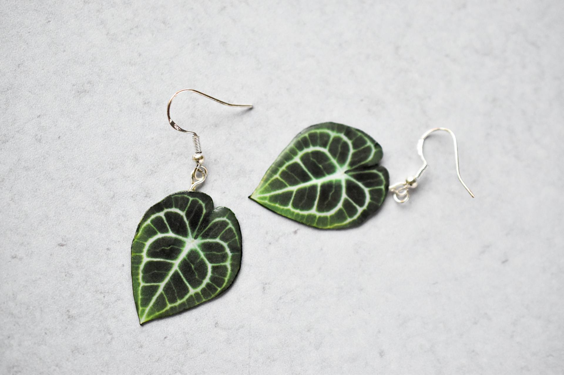 Anthurium Clarinervium || Handgemachte Blatt Ohrringe Pflanzen Sterling Silber Anthurium Clarinervium || Handgemachte Blatt Ohrringe Pflanzen Sterling Silber von ForTheLoveOfFoliage