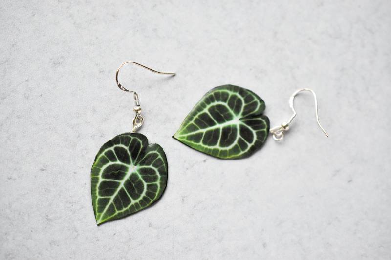 Anthurium Clarinervium || Handgemachte Blatt Ohrringe Pflanzen Sterling Silber Anthurium Clarinervium || Handgemachte Blatt Ohrringe Pflanzen Sterling Silber von ForTheLoveOfFoliage