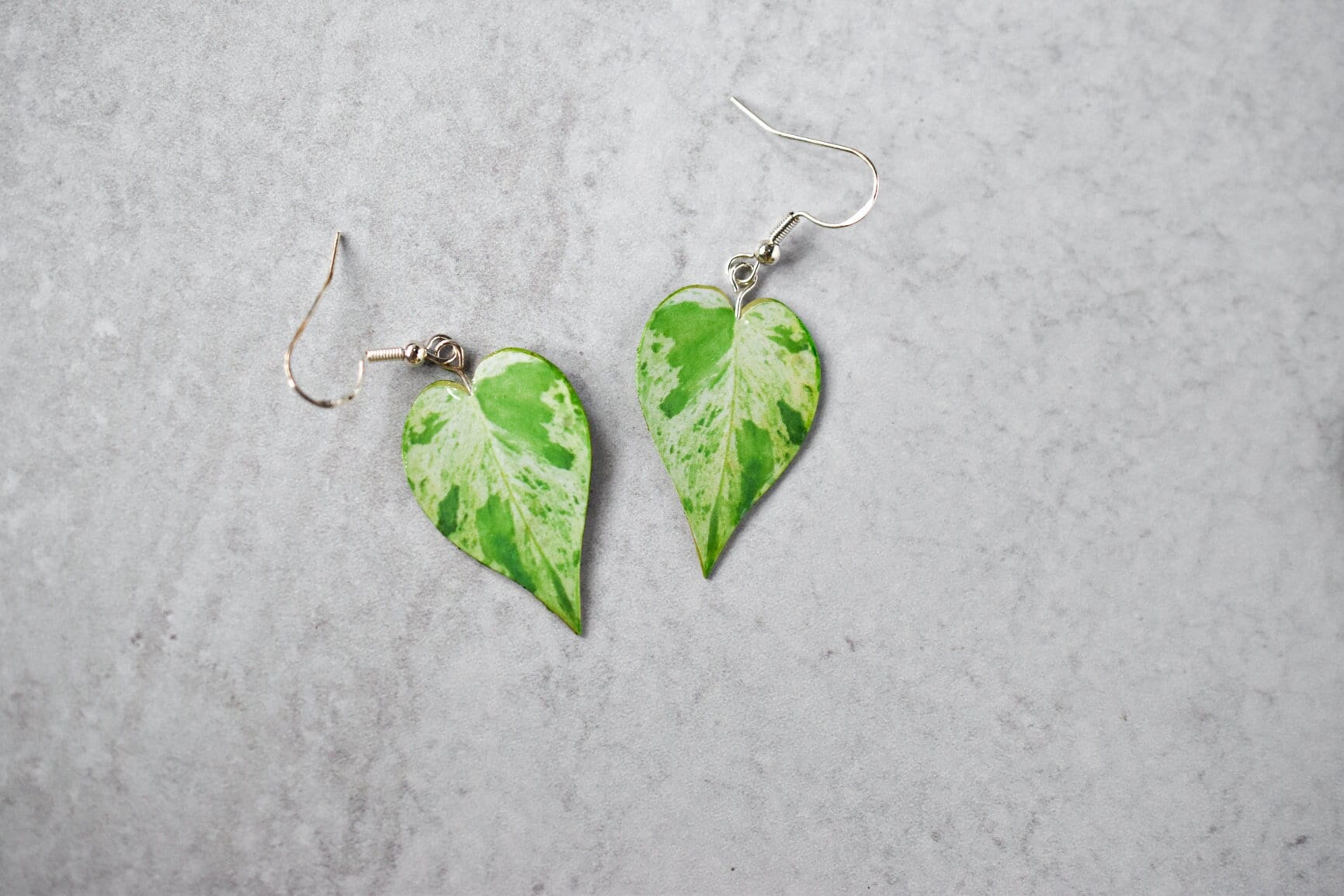 Bunt Herz Blatt Philodendron || Handgemachte Ohrringe Pflanzen Sterling Silber Bunt Herz Blatt Philodendron || Handgemachte Ohrringe Pflanzen Sterling Silber von ForTheLoveOfFoliage