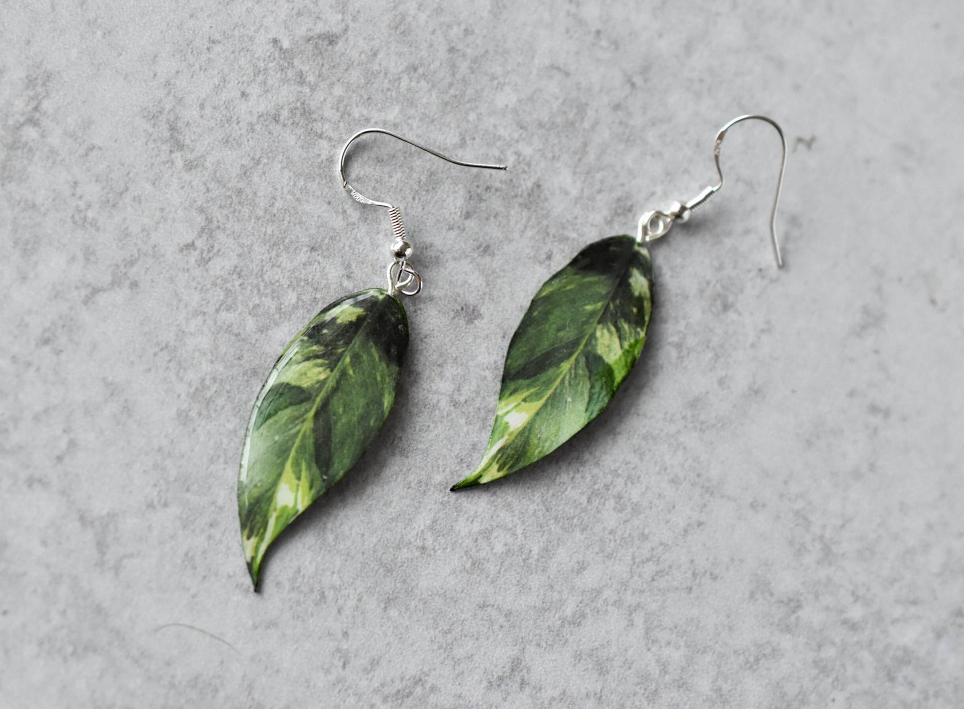 Bunte Peace Lilly || Handgemachte Blatt Ohrringe Pflanzen Sterling Silber Bunte Peace Lilly || Handgemachte Blatt Ohrringe Pflanzen Sterling Silber von ForTheLoveOfFoliage