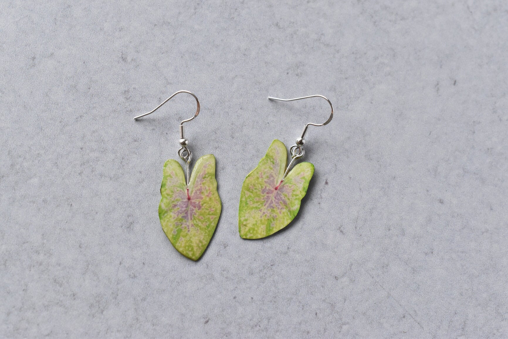 Caladium "Sea Foam Pink" || Handgemachte Blatt Ohrringe Pflanzen Sterling Silber Caladium "Sea Foam Pink" || Handgemachte Blatt Ohrringe Pflanzen Sterling Silber von ForTheLoveOfFoliage