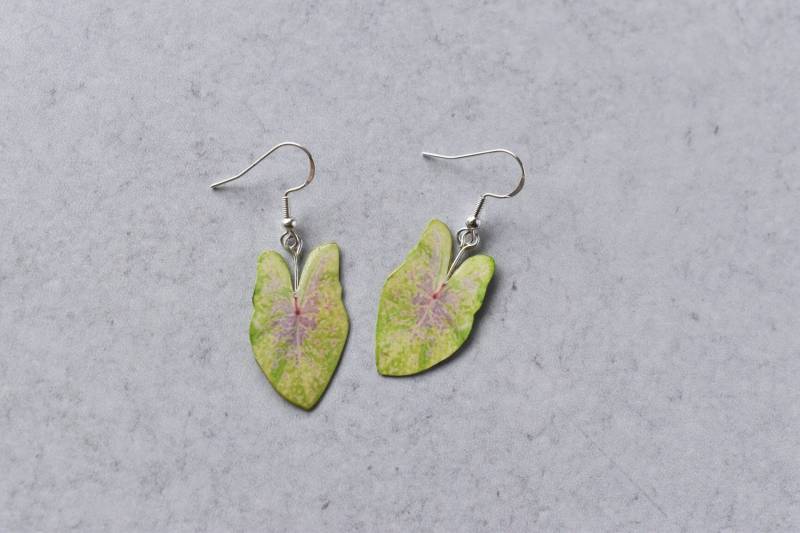 Caladium "Sea Foam Pink" || Handgemachte Blatt Ohrringe Pflanzen Sterling Silber Caladium "Sea Foam Pink" || Handgemachte Blatt Ohrringe Pflanzen Sterling Silber von ForTheLoveOfFoliage