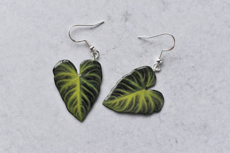 Philodendron Verrucosum || Handgemachte Blatt Ohrringe Pflanzen Sterling Silber Philodendron Verrucosum || Handgemachte Blatt Ohrringe Pflanzen Sterling Silber von ForTheLoveOfFoliage