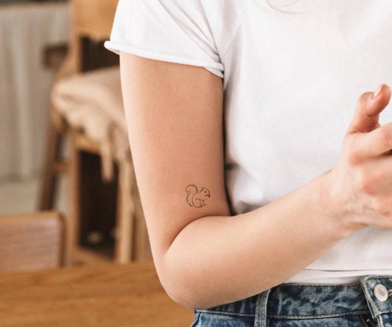 Eichhörnchen Eichhörnchen von ForeverNeverTattoo