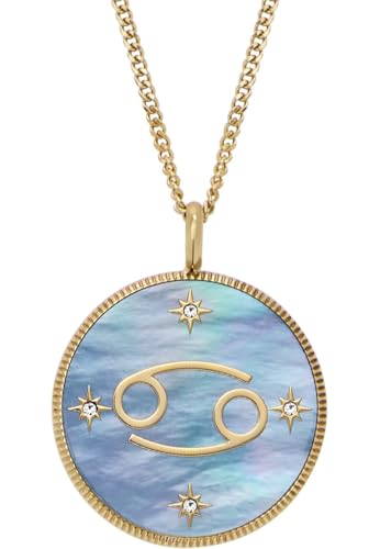 Fossil Damen-Edelstahl oder Sterlingsilber-Halskette mit Karabinerverschluss, Hellblau Fossil Damen-Edelstahl oder Sterlingsilber-Halskette mit Karabinerverschluss, Hellblau von Fossil