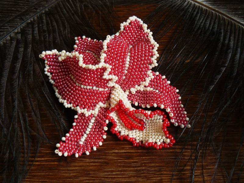 Perlen Brosche/Haarspange, Blumenbrosche, Cabrio Blume, Rot Und Weiß, Statement Schmuck, Haarspange, Große Blumenbrosche Perlen Brosche/Haarspange, Blumenbrosche, Cabrio Blume, Rot Und Weiß, Statement Schmuck, Haarspange, Große Blumenbrosche von FottiniyaBeads