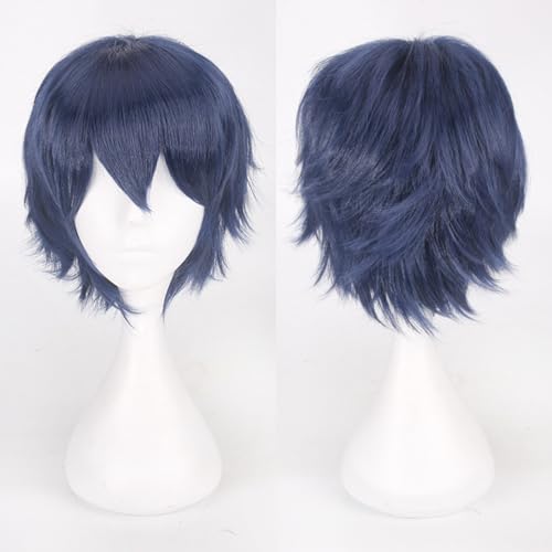 Fouriding Blau Kurze Perücke Unisex Kurze Cosplay Perücke Prom Haar Flauschig Geschichtet Hitzebeständig Synthetisches Haar für Damen Herren Party Halloween Cosplay Kostüm von Fouriding