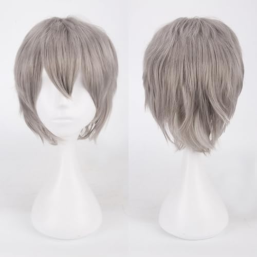 Fouriding Grau Perücke Unisex Kurze Cosplay Perücke Prom Haar Flauschig Geschichtet Hitzebeständig Synthetisches Haar für Damen Herren Party Halloween Cosplay Kostüm von Fouriding
