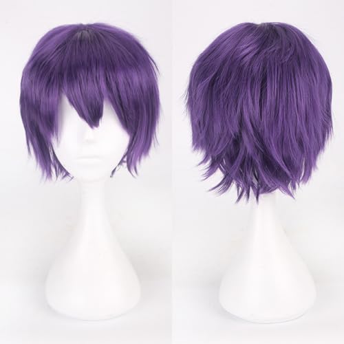 Fouriding Schwarz Violett Kurze Perücke Unisex Kurze Cosplay Perücke Prom Haar Flauschig Geschichtet Hitzebeständig Synthetisches Haar für Damen Herren Party Halloween Cosplay Kostüm von Fouriding