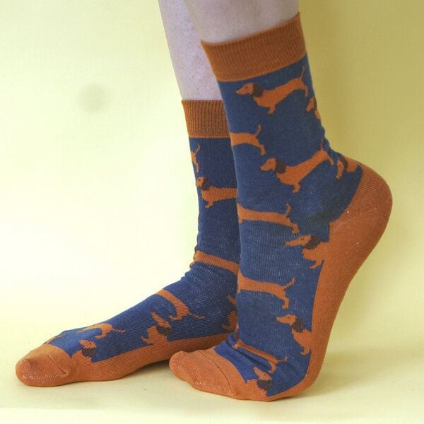 Fräulein Prusselise Dackel Socke Sausagedog blau orange bunt gemustert von Fräulein Prusselise