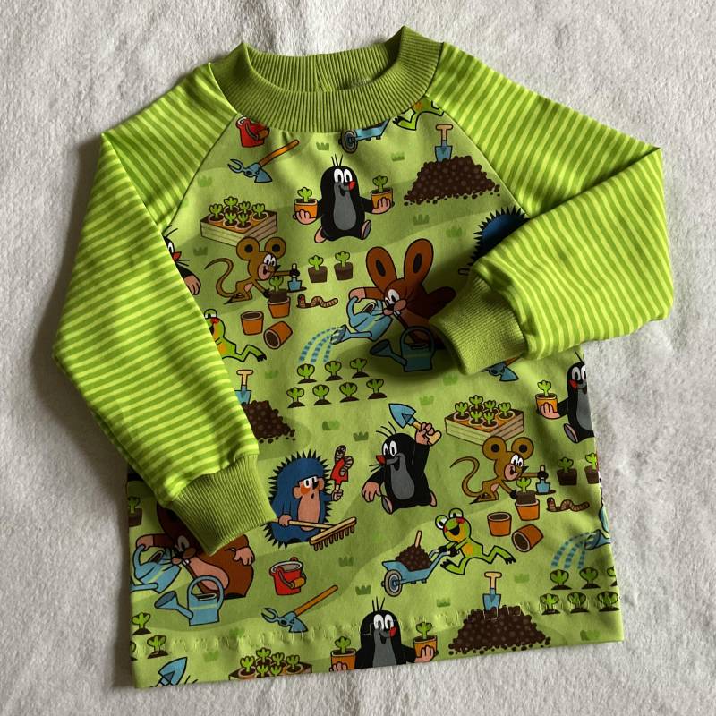 Kindershirt "Pauli - Gartenspaß" Streifen Punkte Rot Grün Geschenk Geburtstag Unisex Urlaub Ferien Herbst Winter von FrauMamaHaase