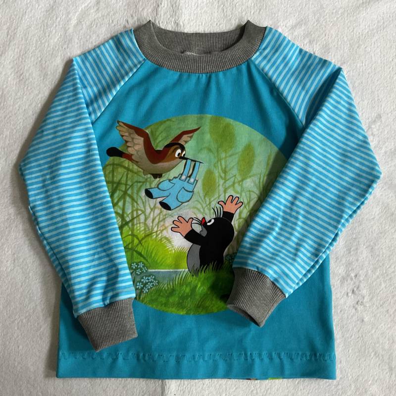 Langarmshirt La-Shirt "Der Kleine Maulwurf Und Die Blaue Hose" Blau Grün Streifen Kindershirt Freunde Geschenk Geburtstag Unisex Frühling von FrauMamaHaase