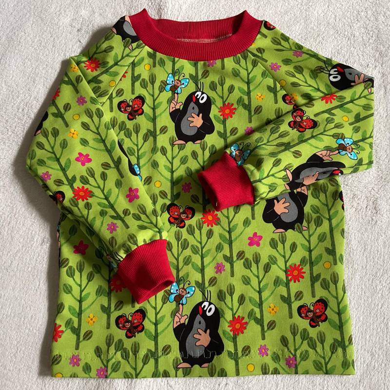 Sweatshirt Langarmshirt La-Shirt "Pauli - Ab in Die Natur" Grün Kindershirt Junge Mädchen Longsleeve Geschenk Geburtstag Herbst von FrauMamaHaase
