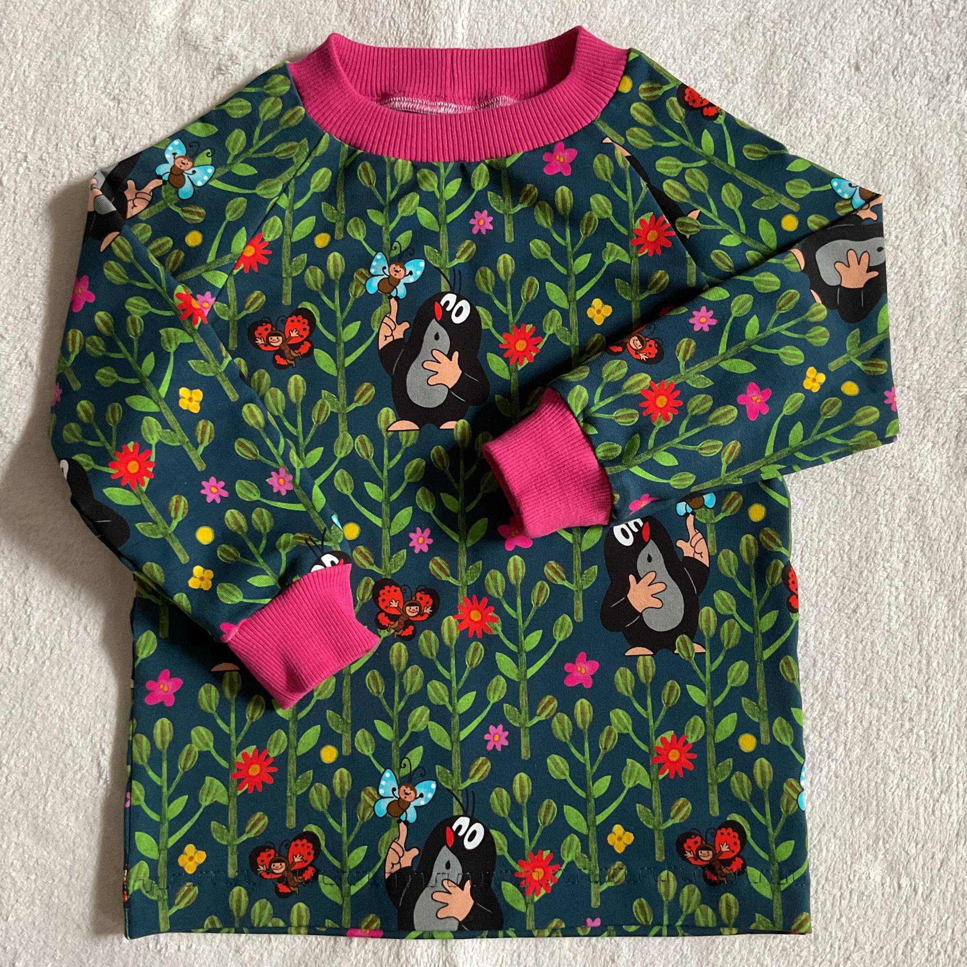 Sweatshirt Langarmshirt La-Shirt "Pauli - Ab in Die Natur" Petrol Kindershirt Junge Mädchen Longsleeve Geschenk Geburtstag Herbst von FrauMamaHaase