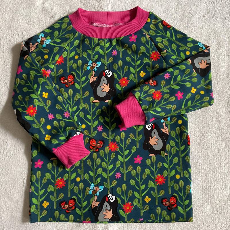 Sweatshirt Langarmshirt La-Shirt "Pauli - Ab in Die Natur" Petrol Kindershirt Junge Mädchen Longsleeve Geschenk Geburtstag Herbst von FrauMamaHaase