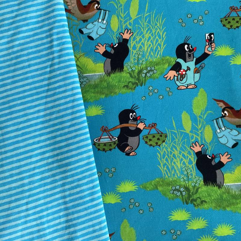 T-Shirt Mit Kurzen Ärmeln "Der Kleine Maulwurf Und Die Blaue Hose" 2 Farben Blau Grün Streifen Kindershirt Geschenk Geburtstag Unisex von FrauMamaHaase