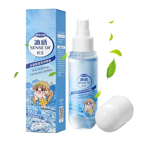 Cooling Mist Spray, Body Mist Spray, Cooling Mist, Body Haze Spray to Soothe Sunburn, Portable Cooled Haze Shower, Refreshing Body Cooled Shower Cooling Sprinkle for Sensitive Skin von Fravsiu