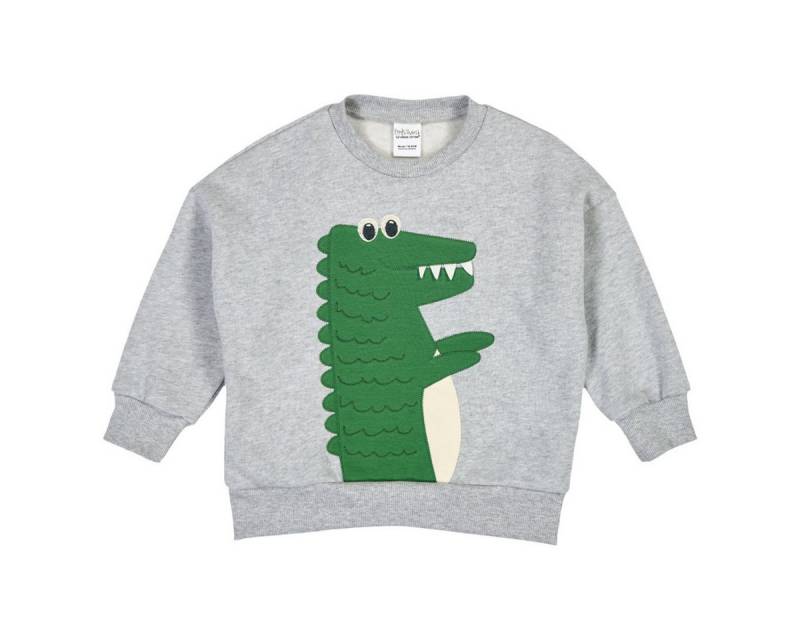 Fred's World by GREEN COTTON Sweatshirt 1522044800 Jungen Pullover, Shirt, Sweater, Langarmshirt, Dress von Fred's World by GREEN COTTON
