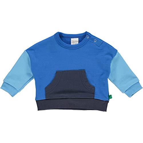 Fred's World by Green Cotton Baby Boys Block Sweatshirt Pullover Sweater, Victoria Blue, 80 von Fred's World by Green Cotton