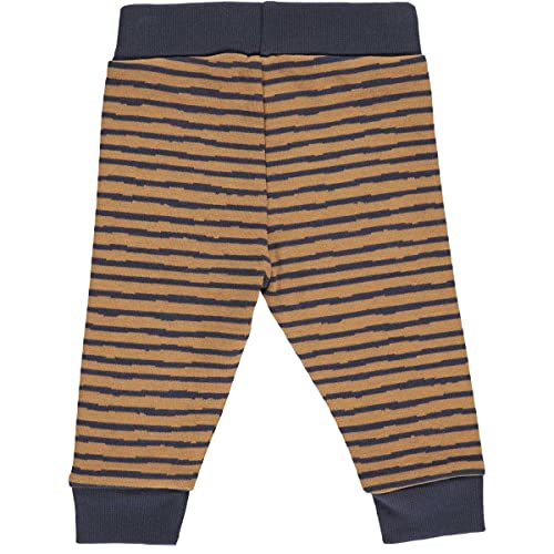 Fred's World by Green Cotton Baby Boys Polar Stripe Casual Pants, Almond, 56 von Fred's World by Green Cotton