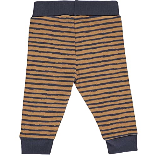 Fred's World by Green Cotton Baby Boys Polar Stripe Casual Pants, Almond, 74 von Fred's World by Green Cotton