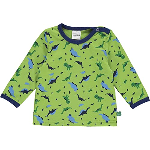 Fred's World by Green Cotton Baby - Jungen Dinosaur L/S Baby T Shirt, Lime/Happy Blue/Deep Blue/Earth Green, 68 EU von Fred's World by Green Cotton