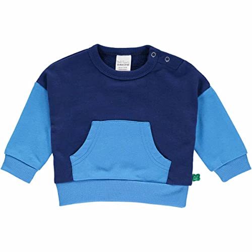 Fred's World by Green Cotton Jungen Block Sweatshirt Baby Pullover Sweater, Deep Blue, 86 EU von Fred's World by Green Cotton