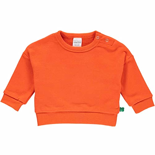 Fred's World by Green Cotton Jungen Sweatshirt Baby Pullover Sweater, Mandarin, 80 EU von Fred's World by Green Cotton