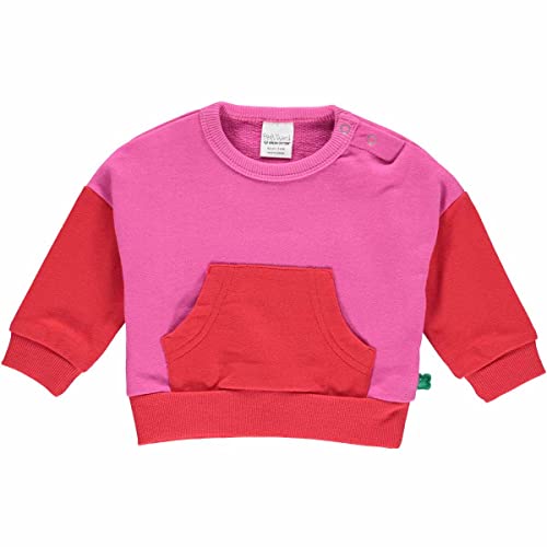 Fred's World by Green Cotton Mädchen Block Sweatshirt Baby Pullover Sweater, Fuchsia, 74 EU von Fred's World by Green Cotton