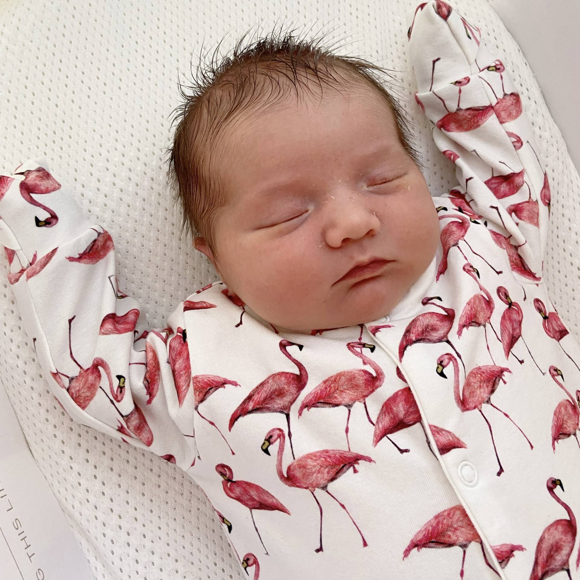 Gender Neutral Flamingo Baby Schlafanzug - Weiche Baumwolle, Made in Uk Made, Strampler, Onesie von FredandNoah