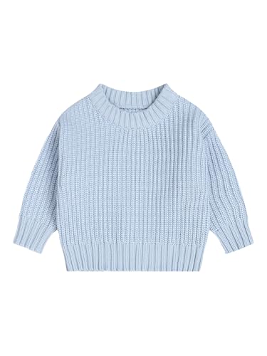 Freebily Kinder Baby Strickpullover Mädchen Jungen Gestrickter Pullover Top Kleinkind Baby Winter Herbst Knitted Sweater Shirt Himmelblau 50-62 von Freebily