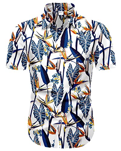 Freshhoodies Hemd Herren Alokasie Canna Hawaii Hemd Männer 3D Druck Weiß Lustige Hässliche Sommerhemd Freizeithemden Bad Taste, M von Freshhoodies