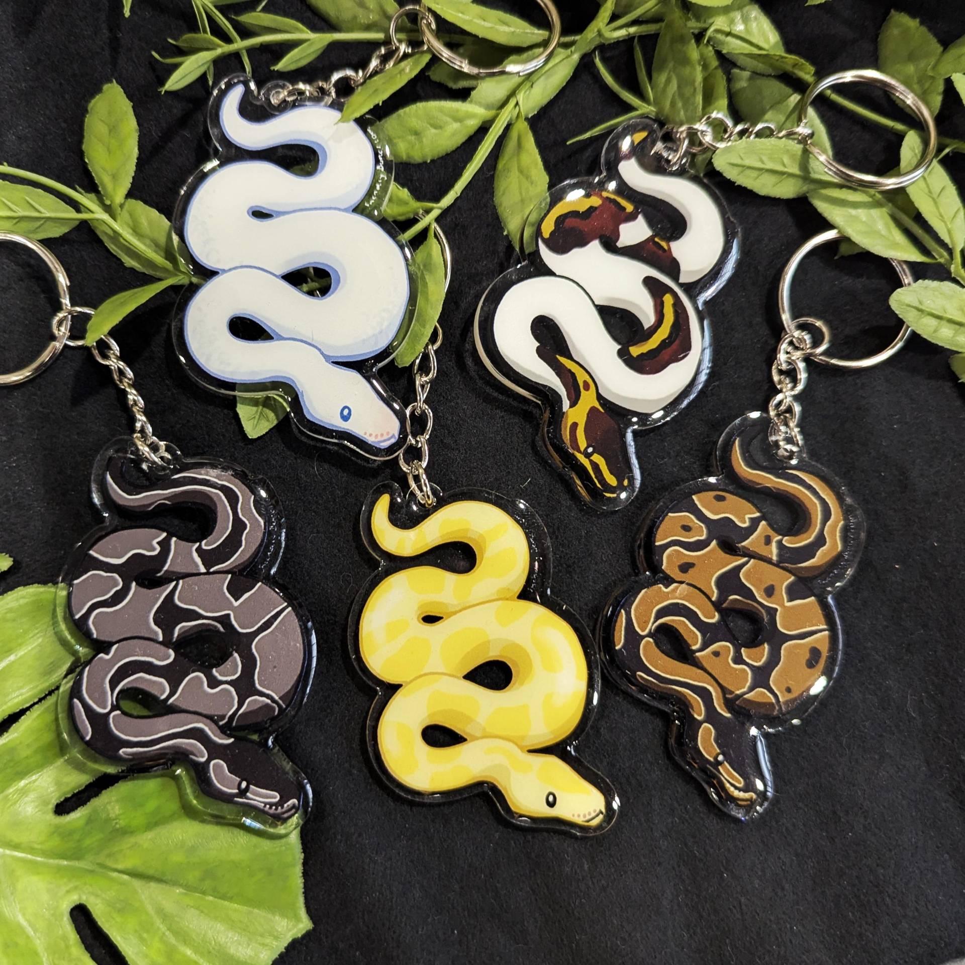 Python Schlange Schlüsselanhänger Aus Acryl Python Schlange Schlüsselanhänger Aus Acryl von FriendlyBones