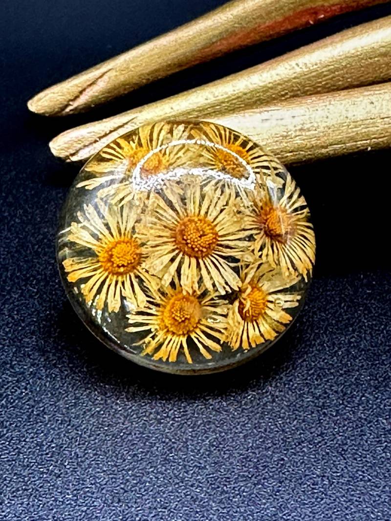 Getrocknete Gänseblümchen Brosche Inlay Original Retro Vintage 1970S Boho Hippie Girl Brosche, Hauch Leicht Und Wunderschön von FriendsOfParis