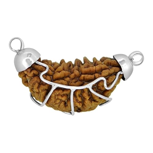 Frienemy Home Presents 1 Mukhi Rudraksha Anhänger Original Natürliche Qualität Ek Mukhi Rudraksha Perlen Halskette Mit Laborbericht Für Männer Und Frauen, Origin Indian #Frienemy-2779 von Frienemy Home