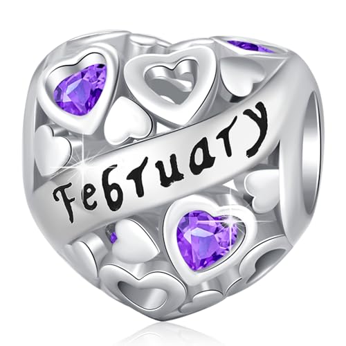 Februar Geburtsstein Charms, Anhänger Charm Geburtstag Herz aus 925 Sterlingsilber, Pandora Charm, Für Beaded Charms für Pandora European Armbänder Geschenke für damen mädchen von Friggem