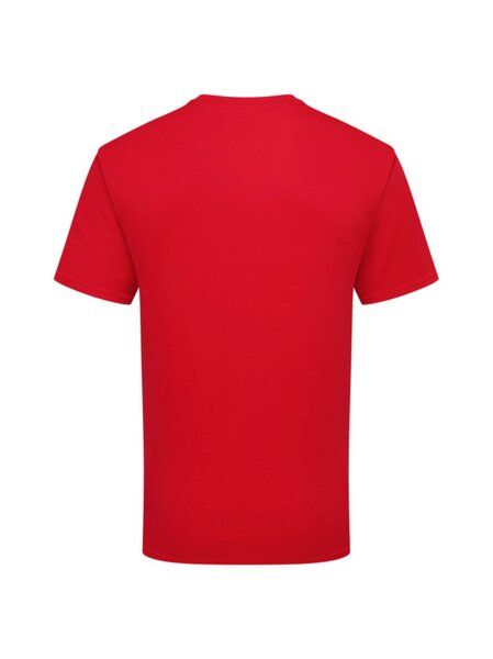 Fruit of the Loom Unisex T-Shirt mit Rundhals aus Bio - Baumwolle 15 Farben bis Größe 3XL von Fruit Of The Loom